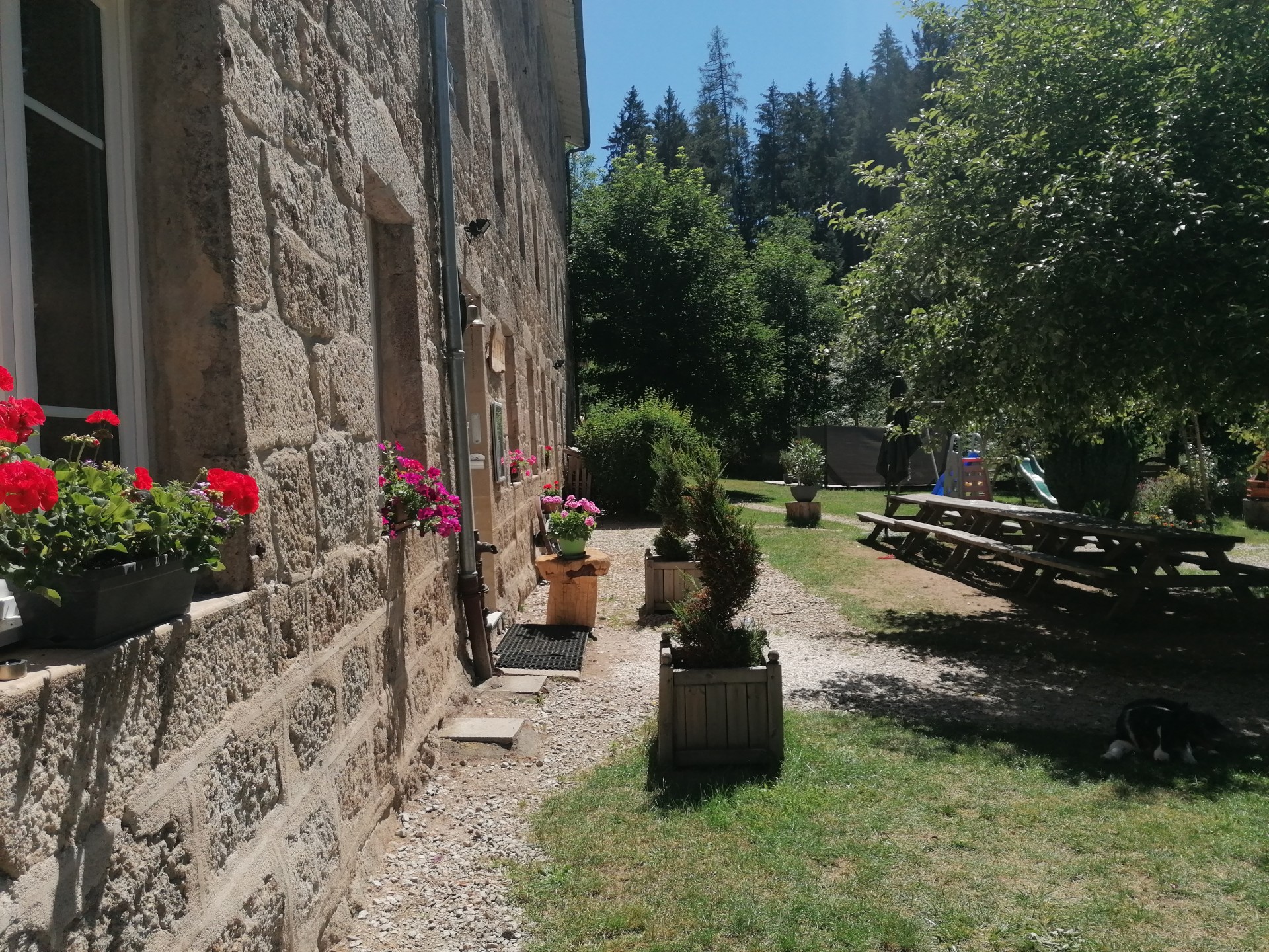 Img 20200707 120951