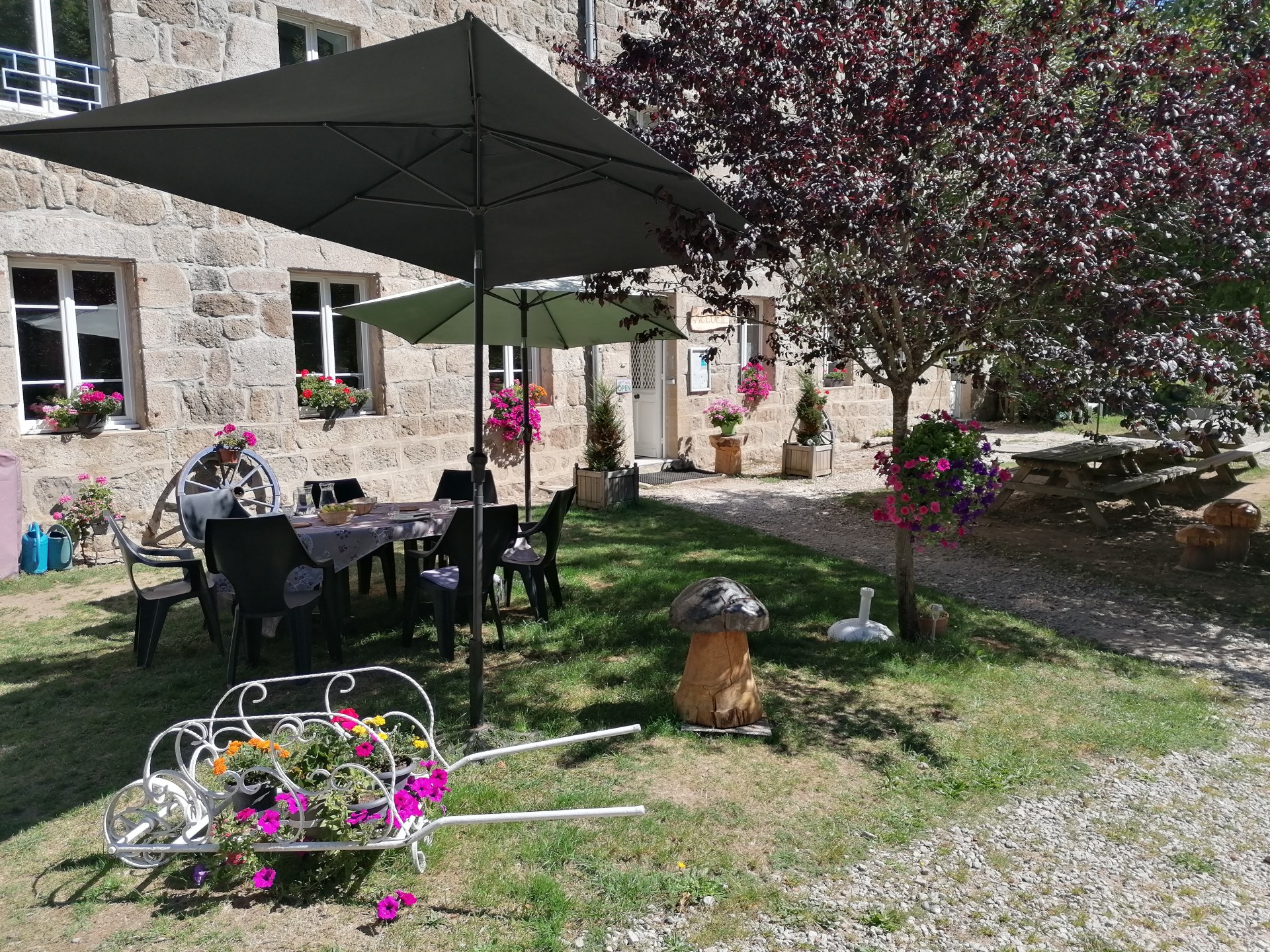 Img 20200905 123136