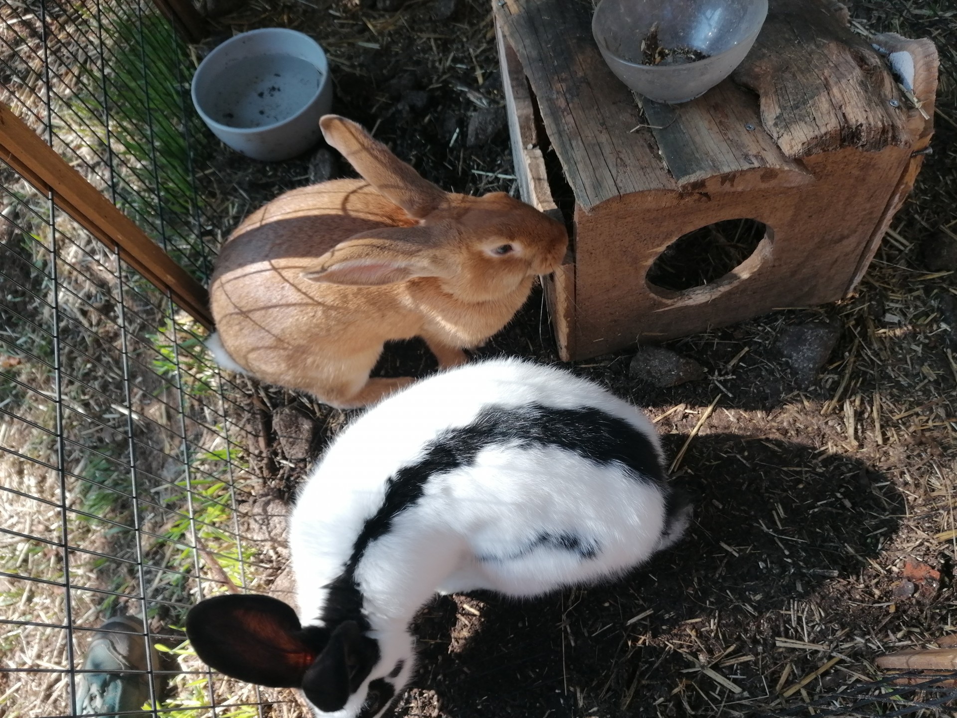 Img 20201009 160127